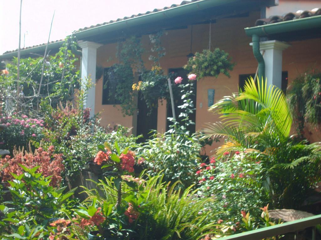 Hotel Villa Santo Domingo Concepcion de Ataco Ngoại thất bức ảnh